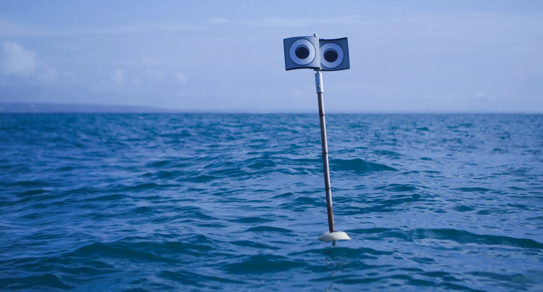 A buoy at sea with a pole topped by two large black-and-white eyes