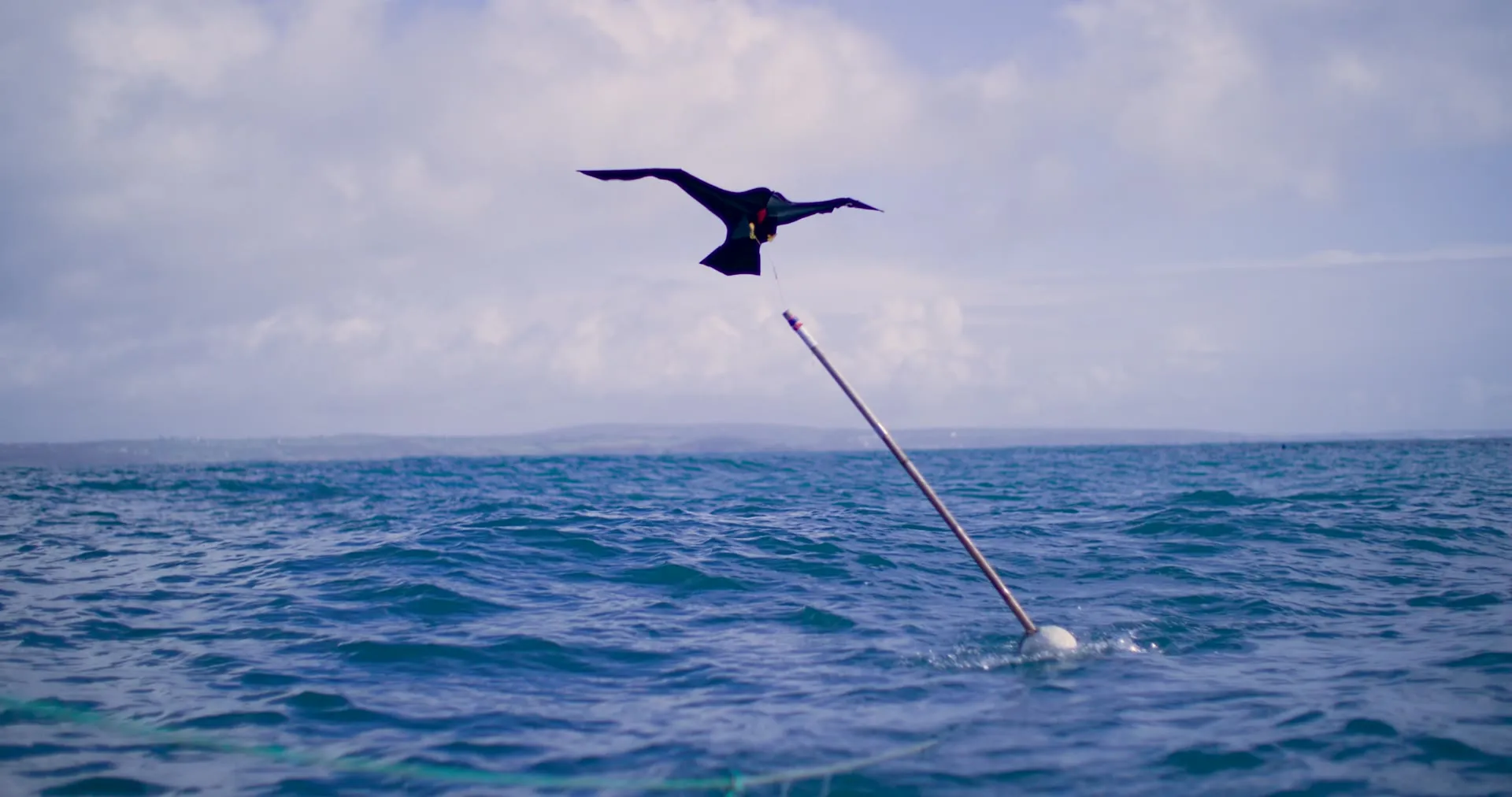 A black kite shaped like a bird of prey flying over the sea, tethered to a pole rising from a buoy
