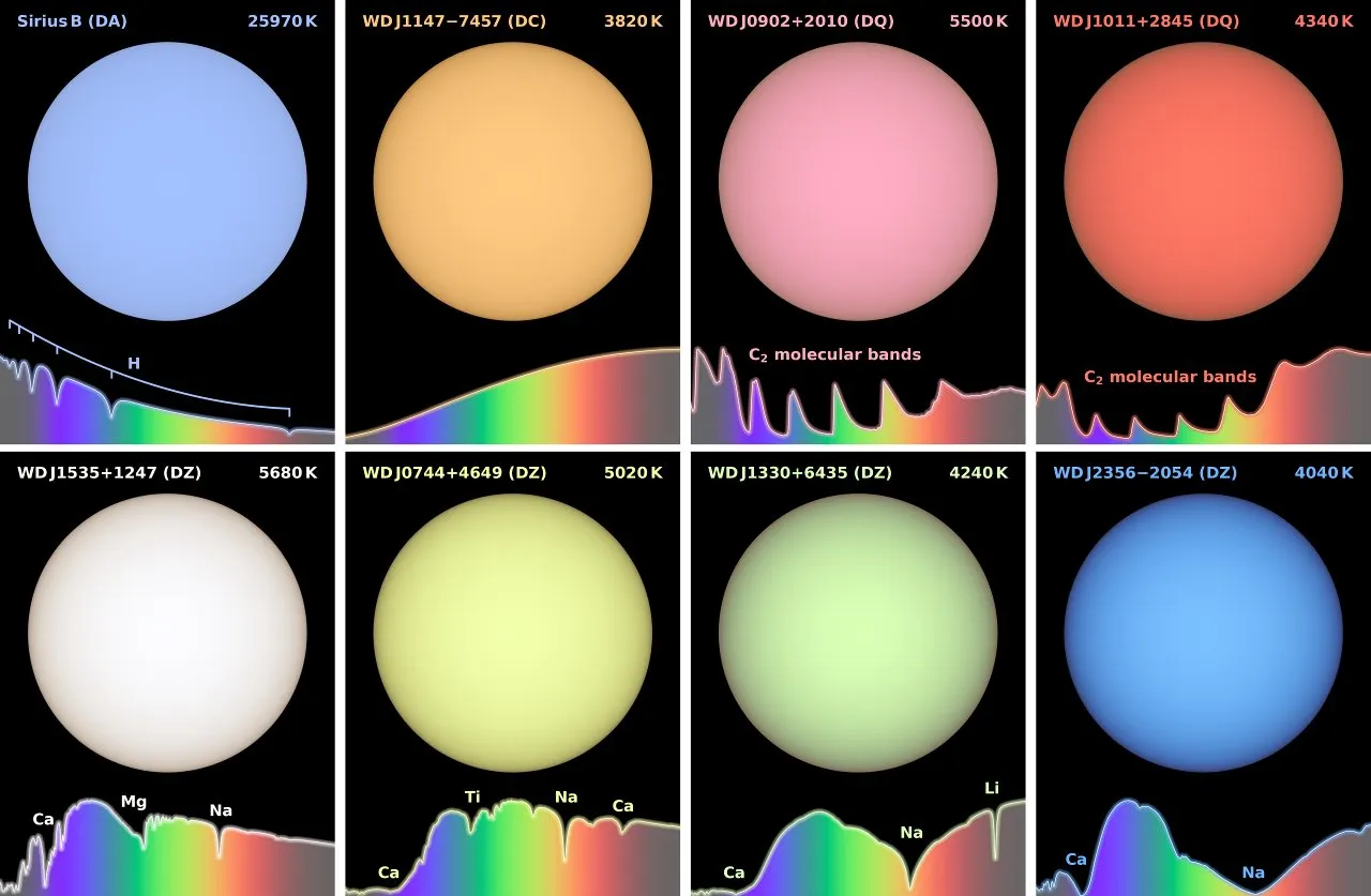 Eight coloured circles on a black background, each with its light spectrum below: blue, orange, two pinks, white, yellow, light green and blue