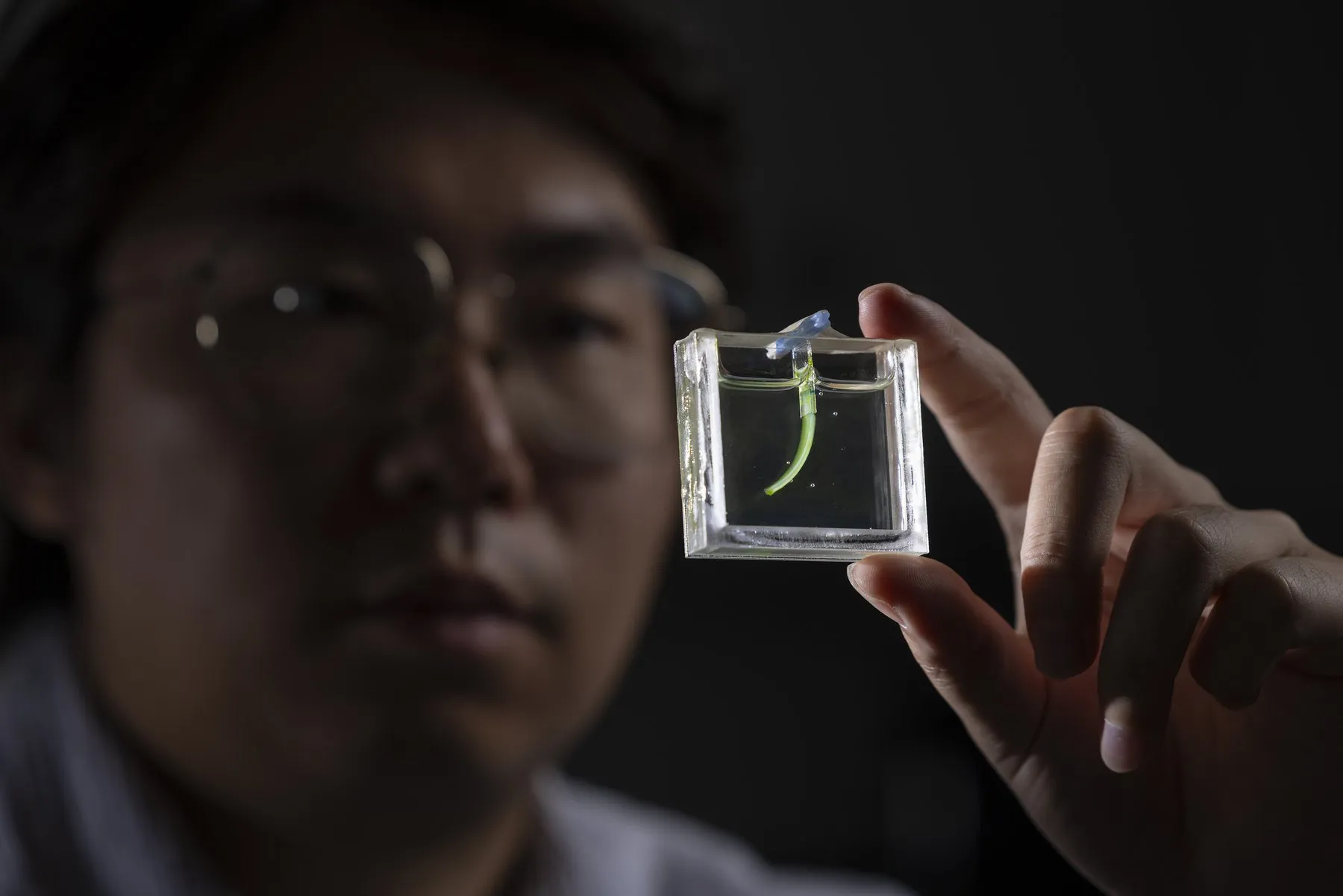 Researcher Fan Jiang next to the experimental setup