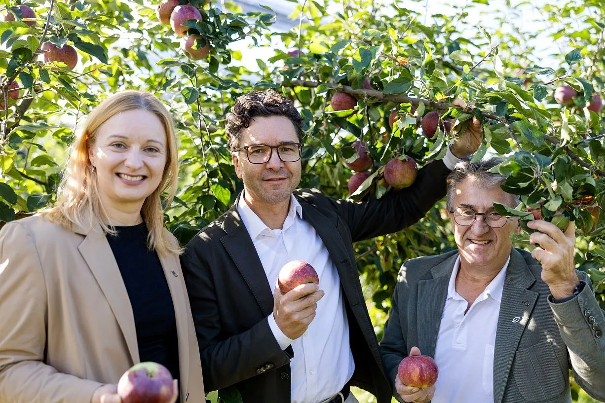 A woman and two men smile under an apple tree laden with fruit, holding apples