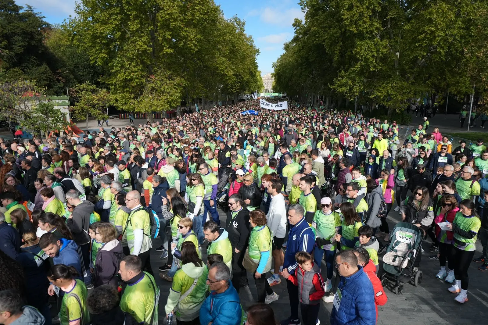 A crowd in green T-shirts walks along a promenade between two rows of tall trees, with families, children and a pushchair in the foreground