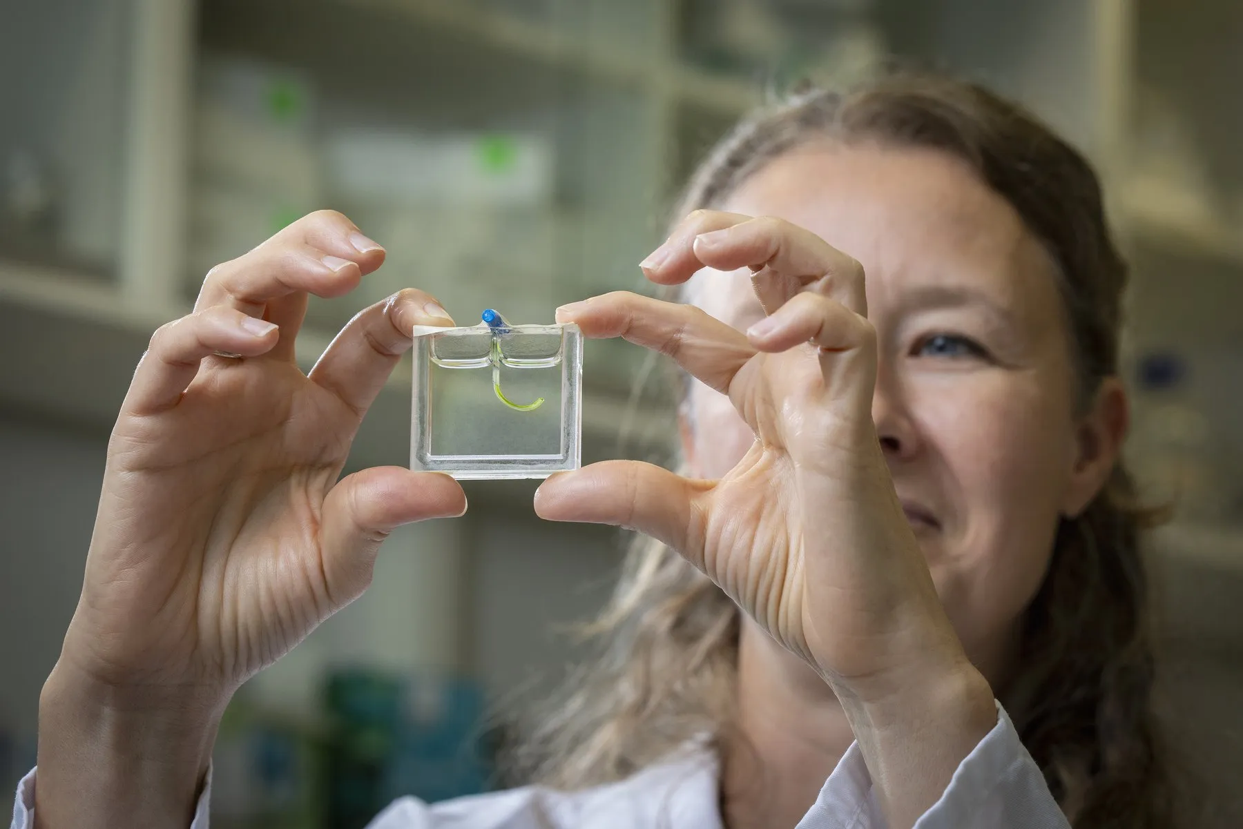 Researcher Marie-Eve Aubin-Tam holds the algae-powered robotic arm in the lab