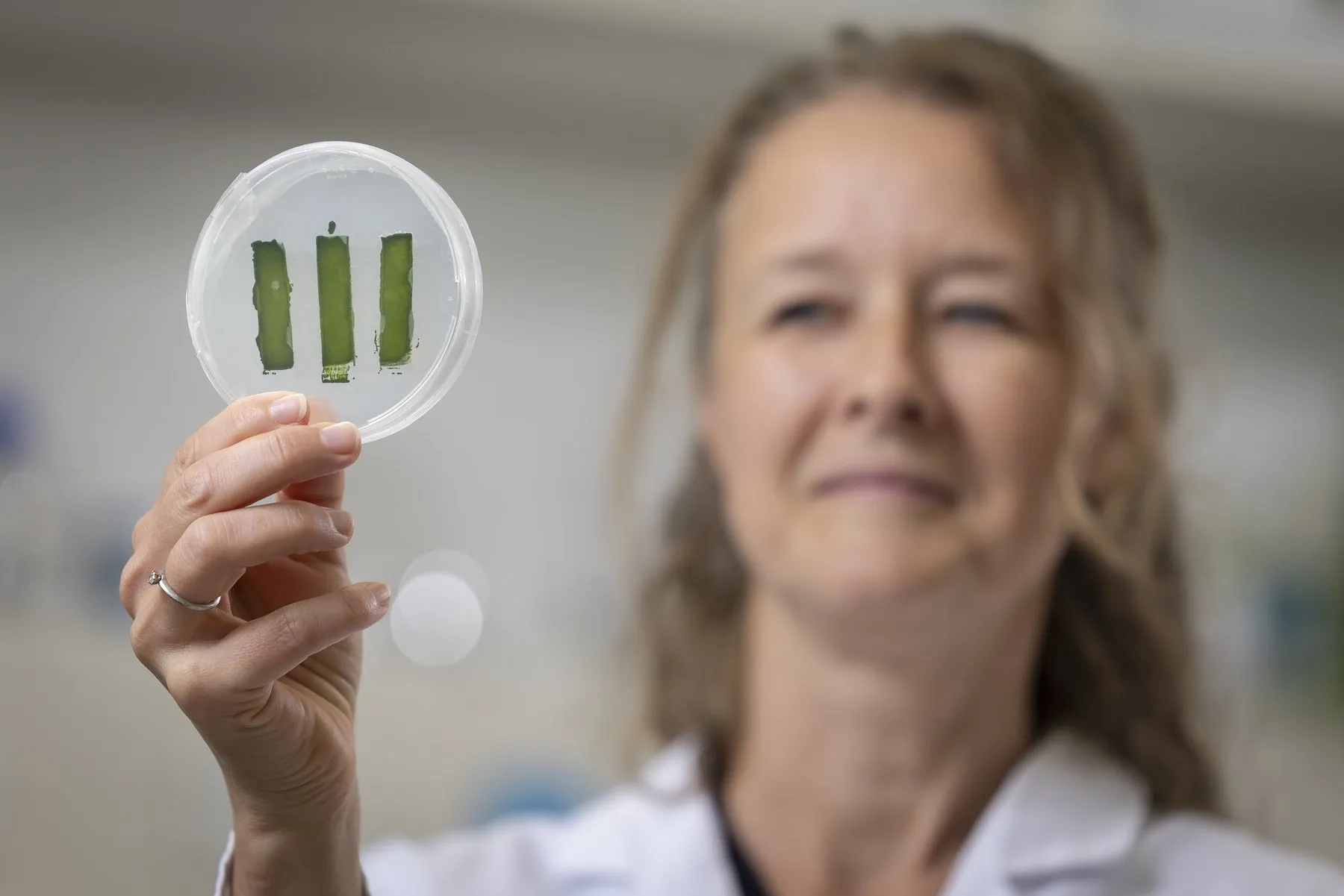 Marie-Eve Aubin-Tam holds a lab dish of microalgae