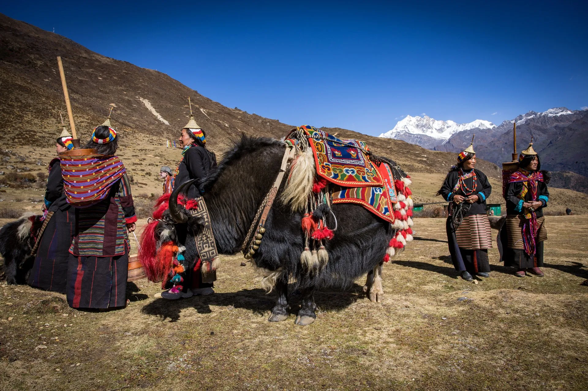 Herder women in striped traditional dress and conical hats beside a yak decked out in colourful blankets, with snowy mountains behind
