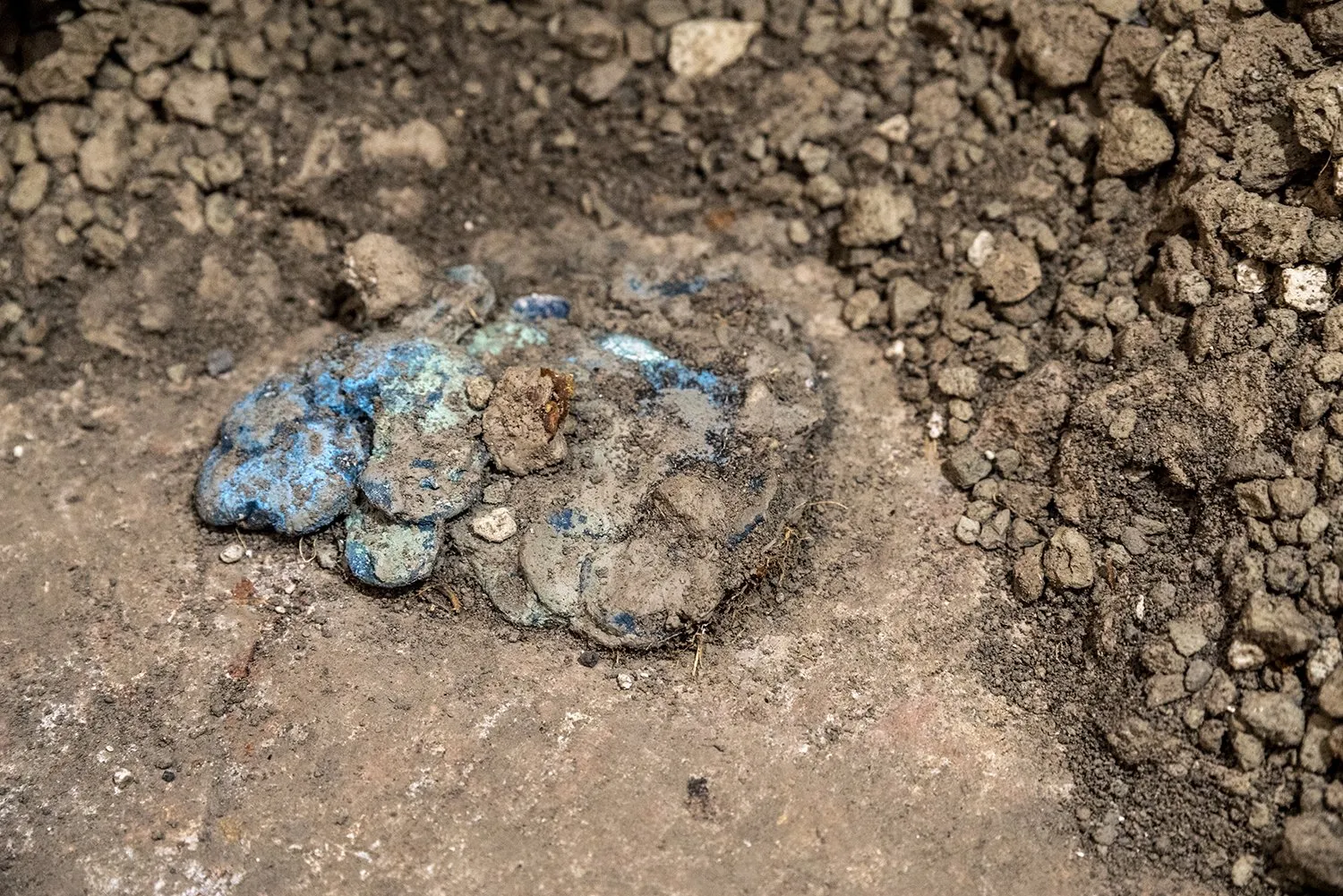 A pile of bronze coins covered in green and blue corrosion on excavated soil
