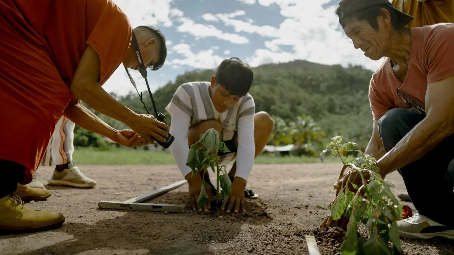 Three men crouch to plant young trees in the soil while one of them takes a photo