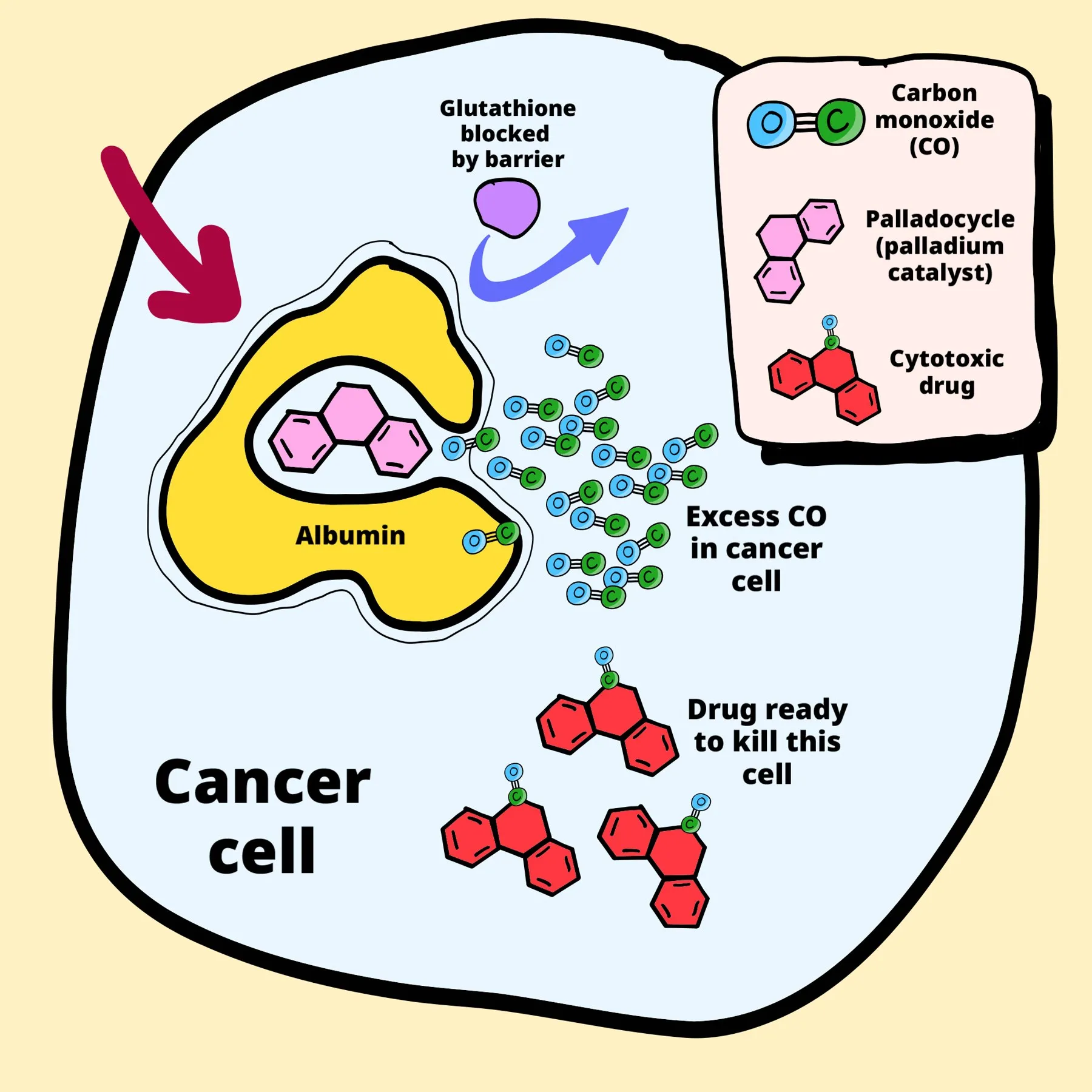 Drawing of a cancer cell: inside, a yellow protein holding a palladium catalyst captures carbon monoxide molecules and turns them into a red drug